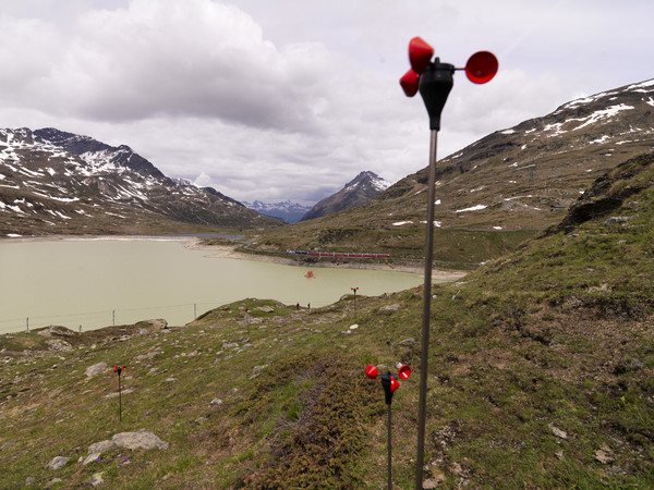 Bernina Pass