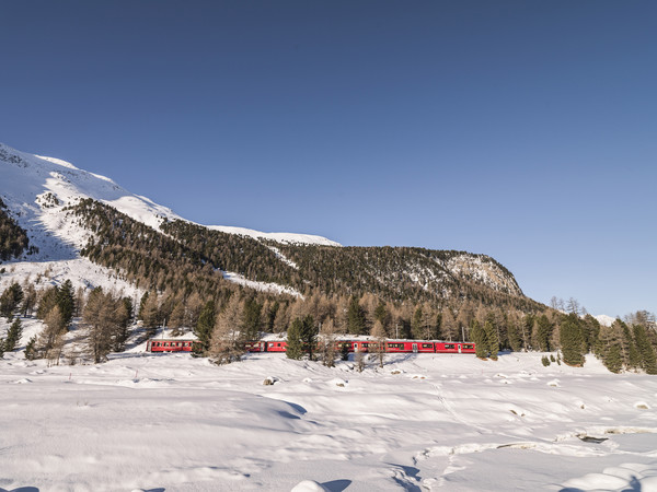 Die Rhätische Bahn bei Morteratsch