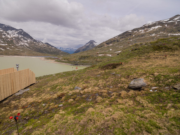 Bernina Pass, Oberengadin, Engadin, Graubünden, Schweiz, Switzerland, Fruehsommer