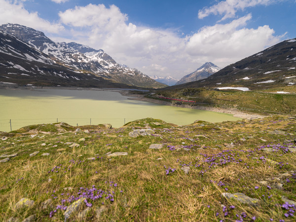 Bernina Pass, Oberengadin, Engadin, Graubünden, Schweiz, Switzerland, Fruehsommer