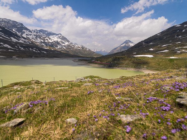 Bernina Pass, Oberengadin, Engadin, Graubünden, Schweiz, Switzerland, Fruehsommer