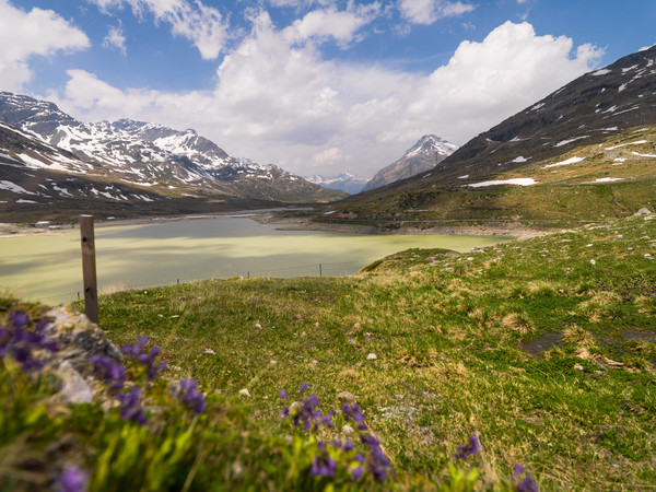 Bernina Pass, Oberengadin, Engadin, Graubünden, Schweiz, Switzerland, Fruehsommer