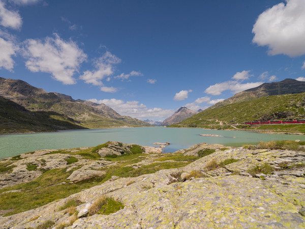 Bernina Pass, Oberengadin, Engadin, Graubünden, Schweiz, Switzerland, Fruehsommer