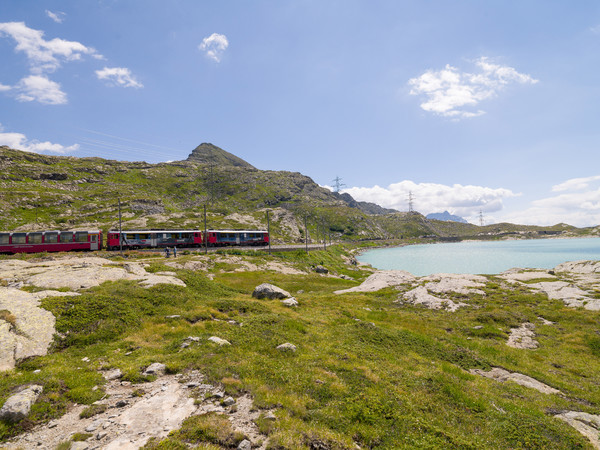 Bernina Pass, Oberengadin, Engadin, Graubünden, Schweiz, Switzerland, Fruehsommer