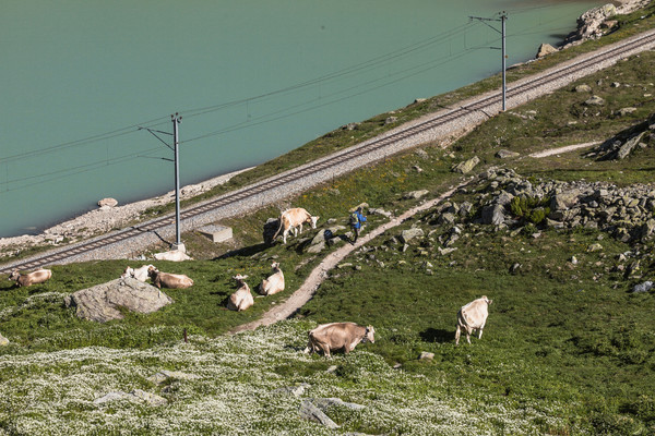 Berninapass, Oberengadin, Engadin, Graubünden, Schweiz, Switzerland