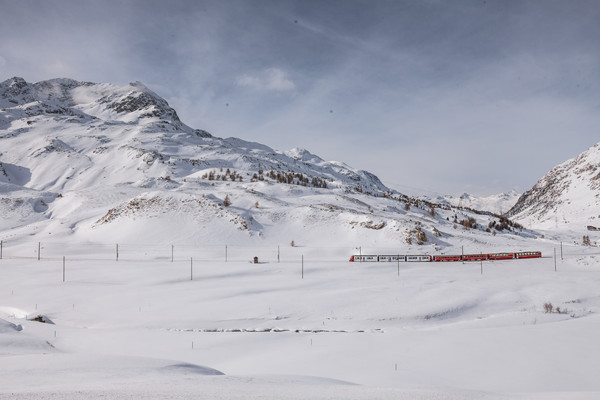 Der Allegra-Triebzug im ABB-Design auf dem Berninapass, an der Grenze vom Oberengadin zum Puschlav, Schweiz