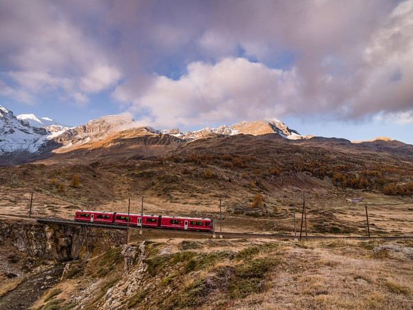Ein Allegra-Triebzug der Rhätischen Bahn bei Bernina Suot auf dem Weg zum Berninapass.