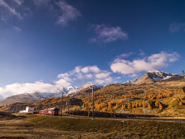 Ein Allegra-Triebzug der Rhätischen Bahn bei Bernina Suot auf dem Weg zum Berninapass. Im Hintergrund der markante Piz Cambrena.