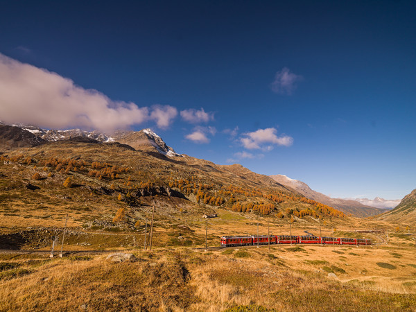 Unterwegs mit dem Bernina Express durch die herbstlich gefärbte hochalpine Landschaft auf dem Berninapass. Im Hintergrund der Munt Pers.