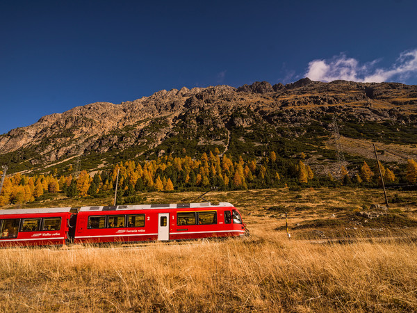 Unterwegs mit der Rhätischen Bahn durch die herbstlich gefärbte hochalpine Landschaft auf dem Berninapass. Im Hintergrund der gestufte und verzackte W