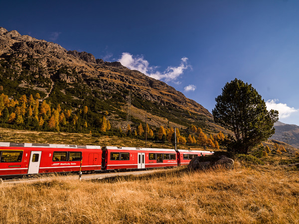 Unterwegs mit der Rhätischen Bahn durch die herbstlich gefärbte hochalpine Landschaft auf dem Berninapass. Im Hintergrund der gestufte und verzackte W