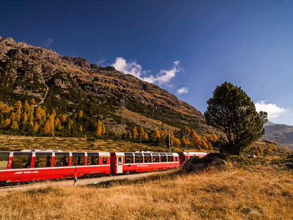 Unterwegs mit dem Bernina Express durch die herbstlich gefärbte hochalpine Landschaft auf dem Berninapass. Im Hintergrund der gestufte und verzackte W