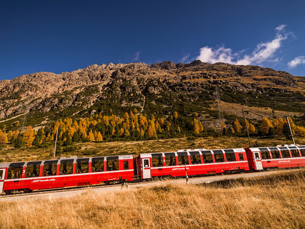 Unterwegs mit dem Bernina Express durch die herbstlich gefärbte hochalpine Landschaft auf dem Berninapass. Im Hintergrund der gestufte und verzackte W