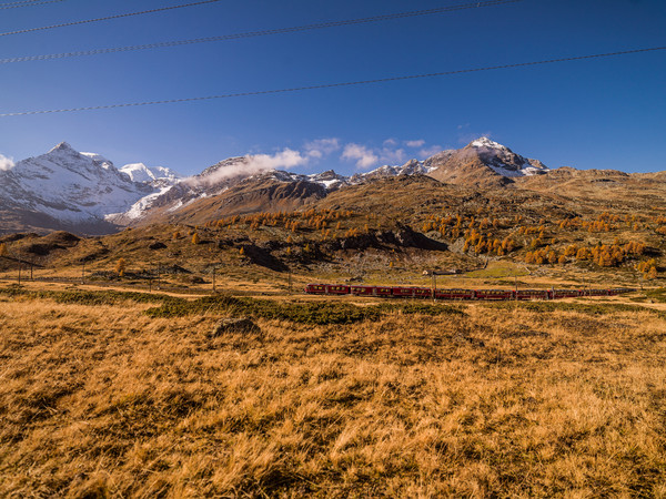 Unterwegs mit dem Bernina Express durch die herbstlich gefärbte hochalpine Landschaft auf dem Berninapass. Im Hintergrund der von linsk nach rechts: P