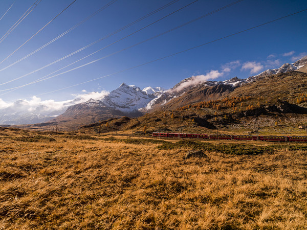 Unterwegs mit dem Bernina Express durch die herbstlich gefärbte hochalpine Landschaft auf dem Berninapass. Im Hintergrund das Val d'Arlas und der Piz 