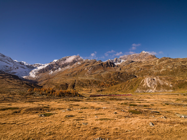 Unterwegs mit dem Bernina Express durch die herbstlich gefärbte hochalpine Landschaft auf dem Berninapass. Im Hintergrund der Sass Queder und Munt Per