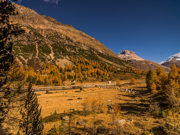 Berninapass, Oberengadin, Graubünden, Schweiz, Switzerland