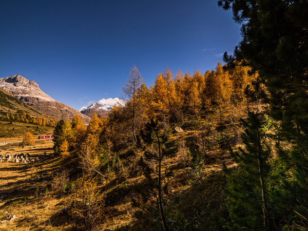 Berninapass, Oberengadin, Graubünden, Schweiz, Switzerland