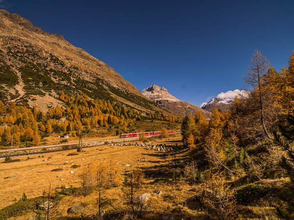 Berninapass, Oberengadin, Graubünden, Schweiz, Switzerland