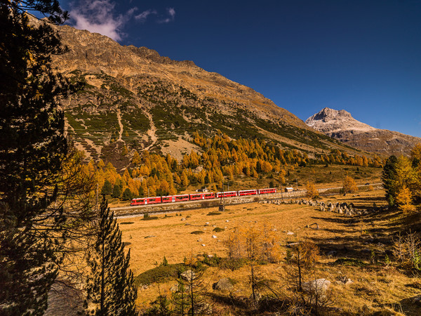 Berninapass, Oberengadin, Graubünden, Schweiz, Switzerland