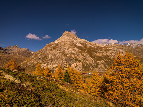 Berninapass, Oberengadin, Graubünden, Schweiz, Switzerland