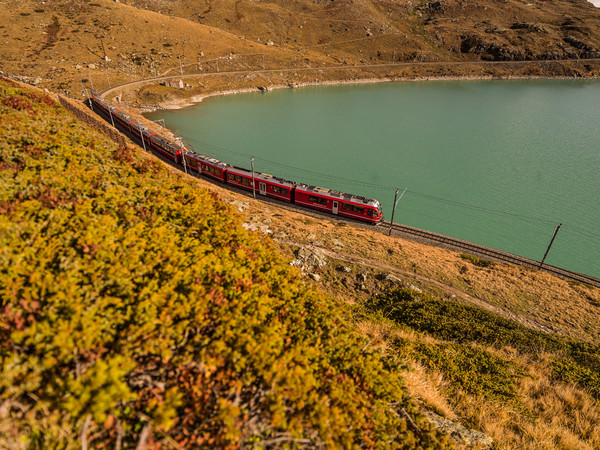 Der Bernina Express der Rhätischen Bahn unterwegs entlang des Lago Bianco auf dem Berninapass.