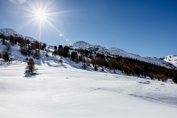 Berninapass, Oberengadin, Graubünden, Schweiz, Switzerland