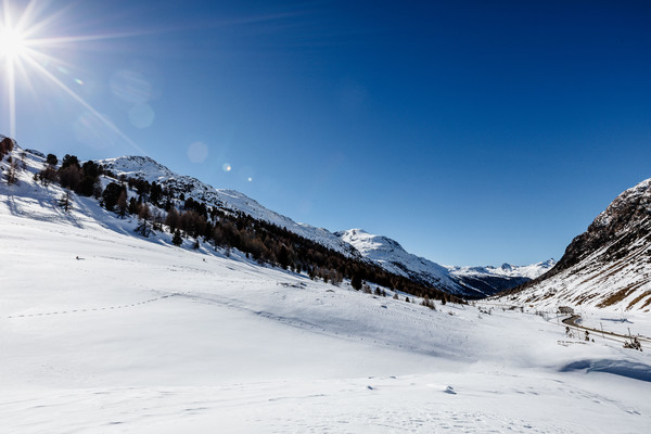 Berninapass, Oberengadin, Graubünden, Schweiz, Switzerland