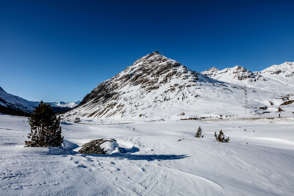 Berninapass, Oberengadin, Graubünden, Schweiz, Switzerland