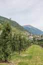 Foto: Bianzone, Valtellina, Sondrio, Veltlin, Italien, Italy