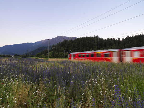 Rhätische Bahn auf der Strecke Bonaduz - Rhäzüns