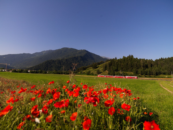 RhB bei Bonaduz, Graubünden, Schweiz, Switzerland