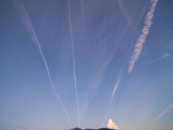 Kondensstreifen im Abendhimmel