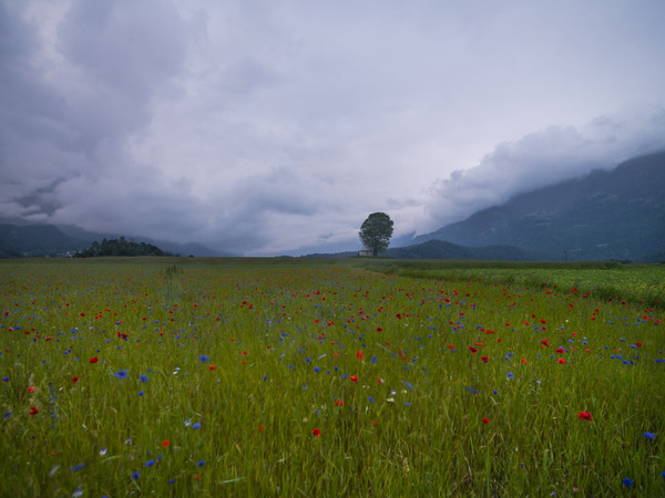 Regenstimmung bei Bonaduz