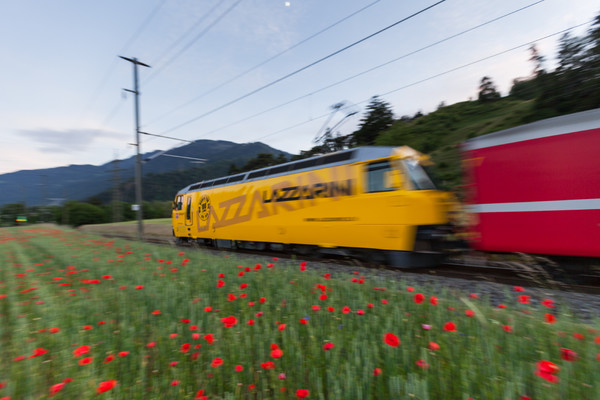 Bonaduz, Graubünden, Schweiz, Switzerland