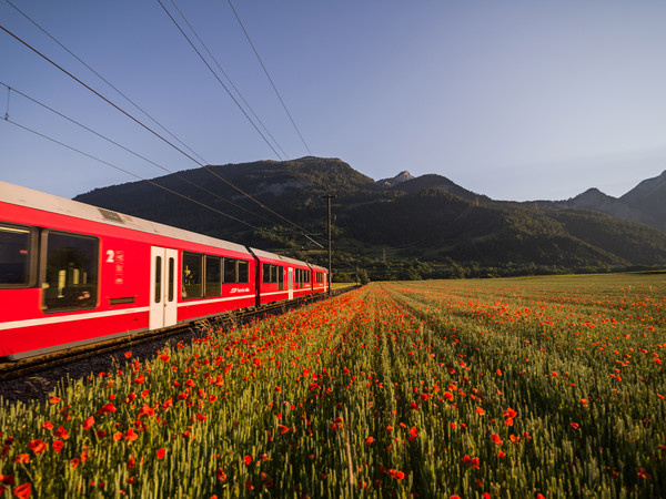 Bonaduz, Graubünden, Schweiz, Switzerland