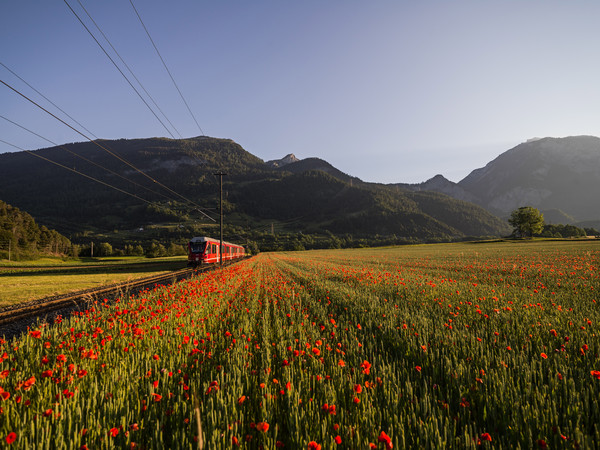 Bonaduz, Graubünden, Schweiz, Switzerland