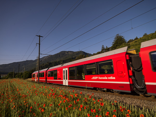 Bonaduz, Graubünden, Schweiz, Switzerland