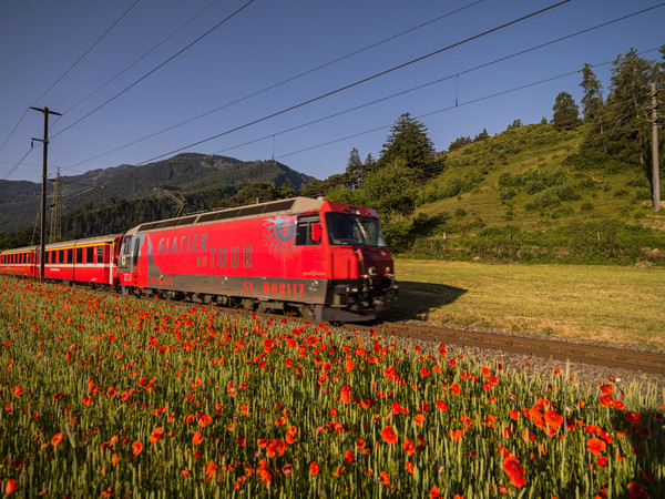 Bonaduz, Graubünden, Schweiz, Switzerland