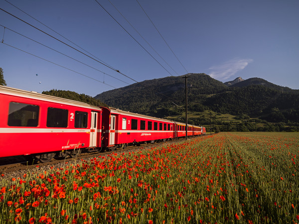 Bonaduz, Graubünden, Schweiz, Switzerland