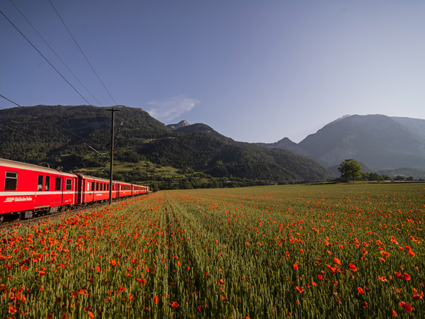 Bonaduz, Graubünden, Schweiz, Switzerland