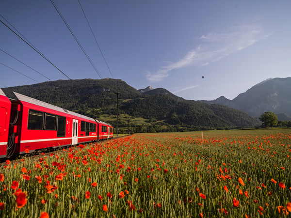 Bonaduz, Graubünden, Schweiz, Switzerland