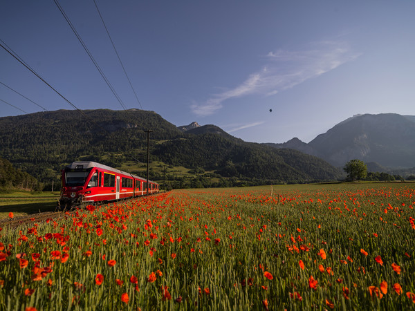 Bonaduz, Graubünden, Schweiz, Switzerland