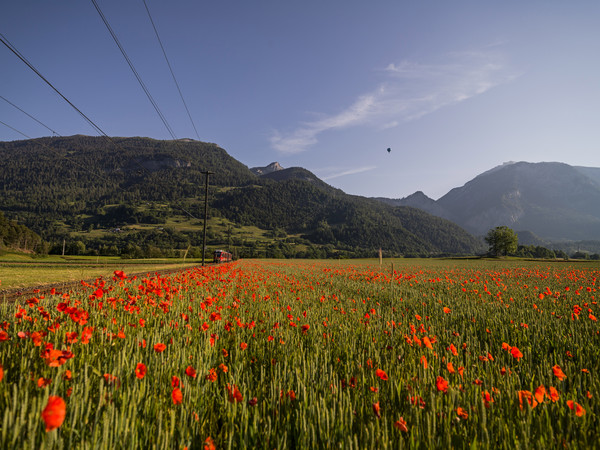 Bonaduz, Graubünden, Schweiz, Switzerland