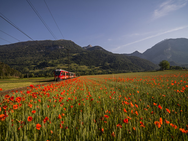 Bonaduz, Graubünden, Schweiz, Switzerland