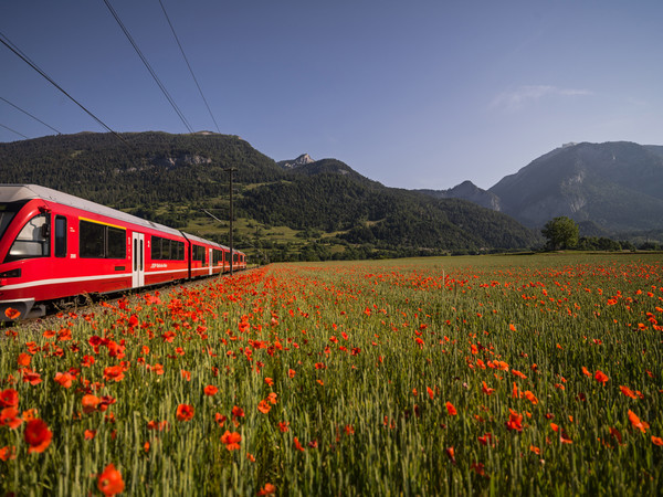 Bonaduz, Graubünden, Schweiz, Switzerland