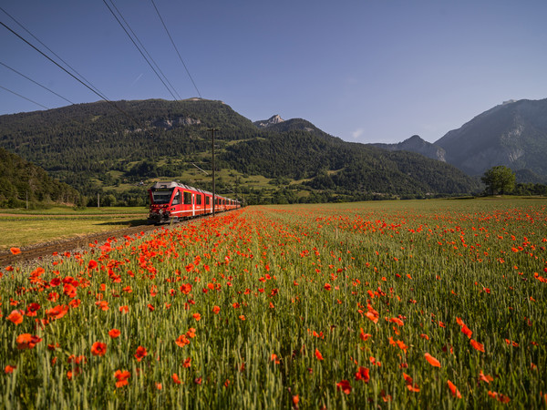 Bonaduz, Graubünden, Schweiz, Switzerland