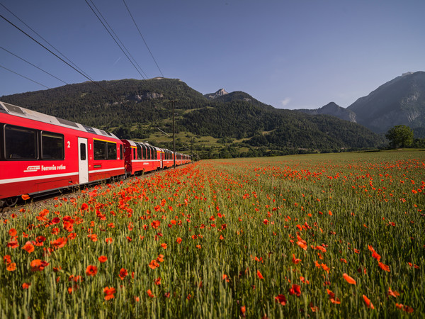 Bonaduz, Graubünden, Schweiz, Switzerland