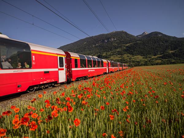 Bonaduz, Graubünden, Schweiz, Switzerland