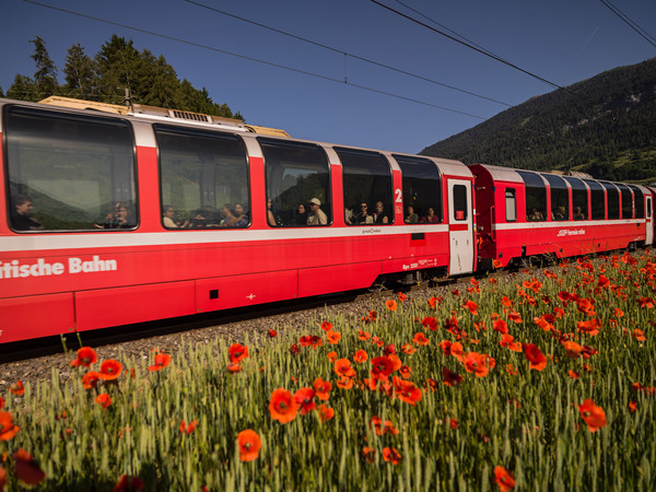 Bonaduz, Graubünden, Schweiz, Switzerland